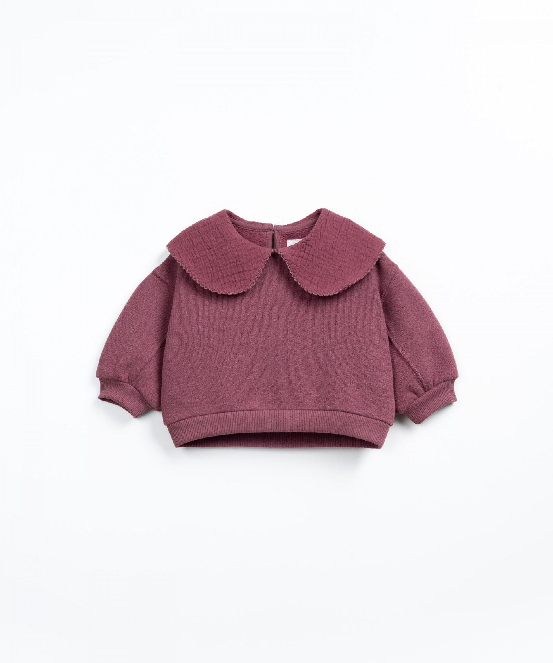 Collar sweater amora baby