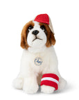 St Bernard