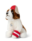 St Bernard