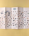Animal world poster & stickers