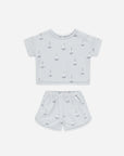 Spongy set sailboats