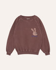 Rabbit brown sweater
