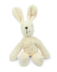 Floppy animal rabbit wit