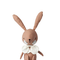 Rabbit Robin in giftbox
