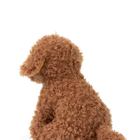 Stacy labradoodle