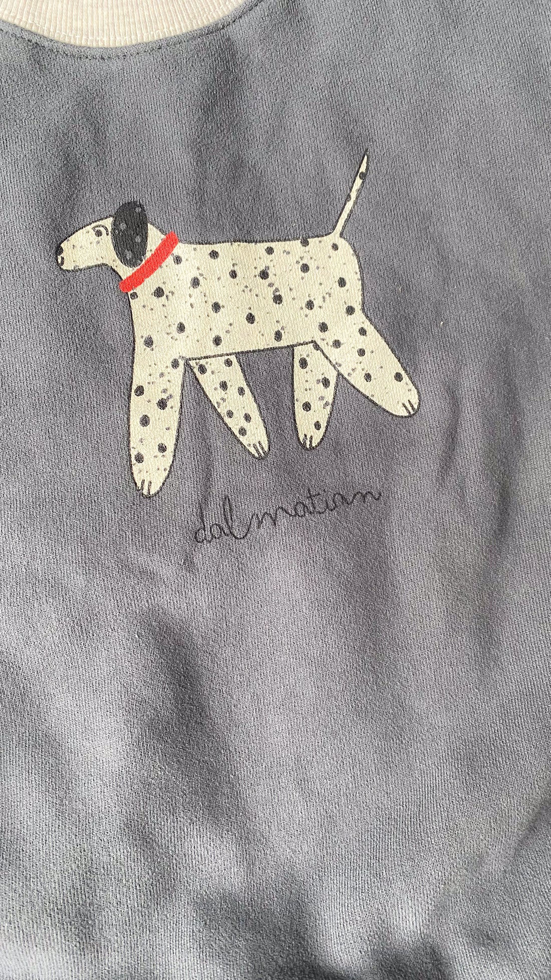 Dalmatian sweater