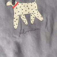 Dalmatian sweater