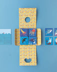 memory game ocean animals