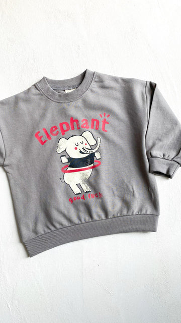 Elephant sweater