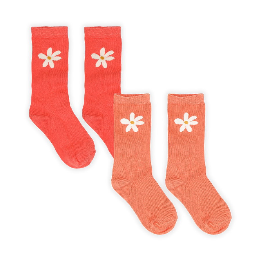 Socks daisy rose petal