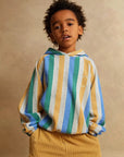 Sweatshirt hoody stripes