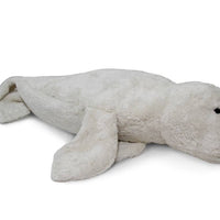 Cuddly animal seal large white