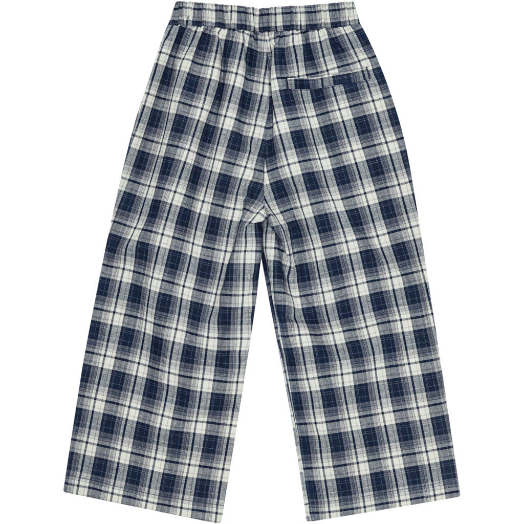 Francis Navy check pants