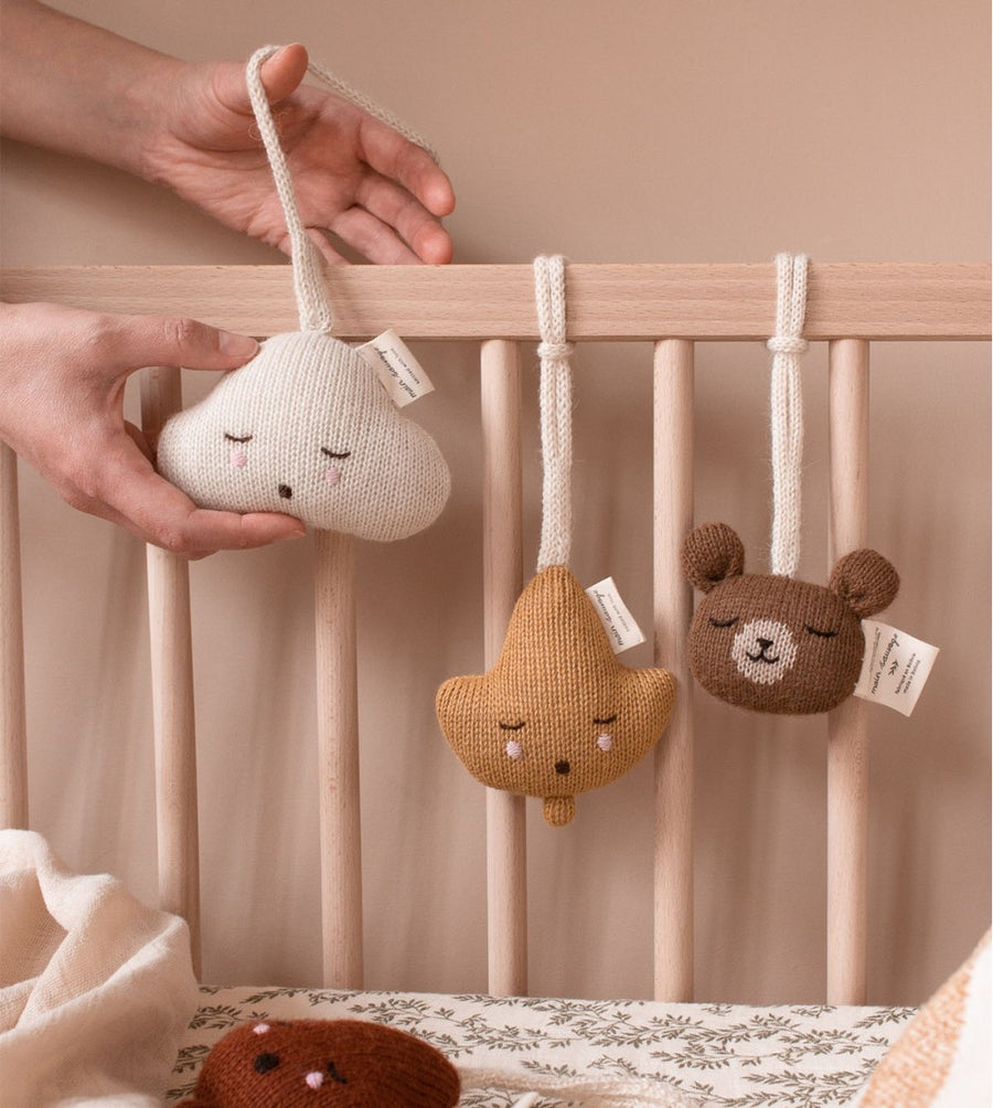 Hanging rattle teddy