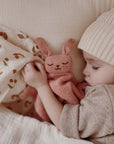 Knit cuddle cloth bunny rose