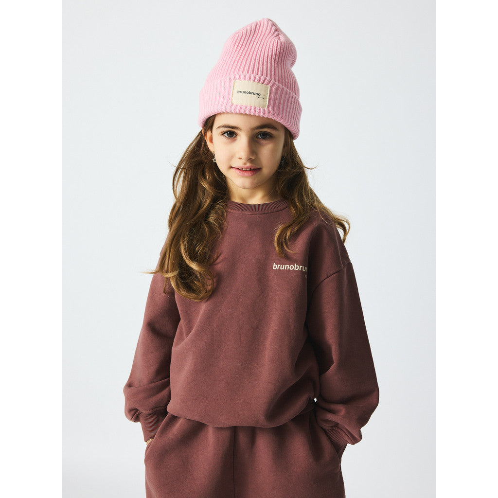 Norah sweatshirt marron plum